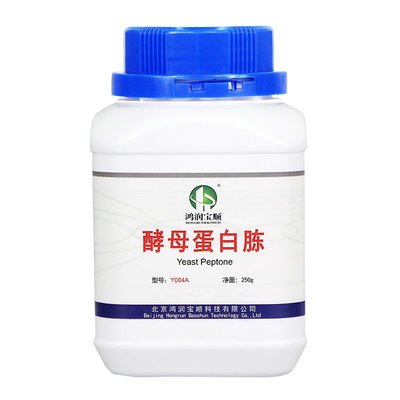 深耕源头，赋能生命科学 鸿润宝顺在酵母蛋白胨与酵母提取物领域的专业之路