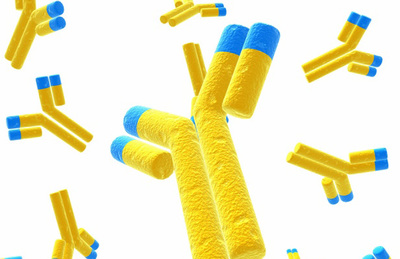 GC-2单克隆抗体 精准诊断的生化试剂新星